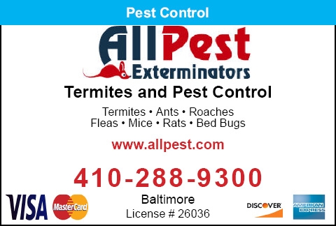 Termites And Pest Control