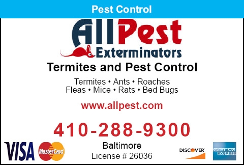 All Pest Exterminators