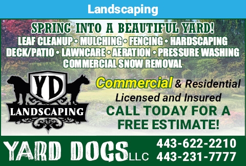 Yard Dogs