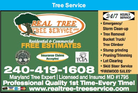 Real Tree-Tree Service
