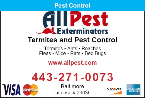 All Pest Exterminators