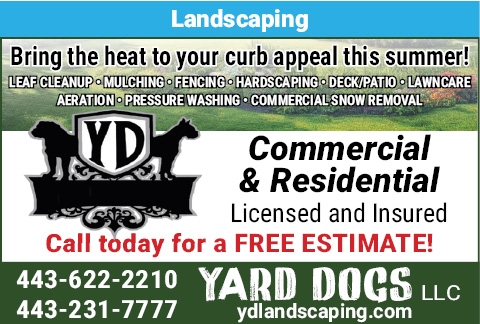 Yard Dogs