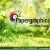 Graphics Services