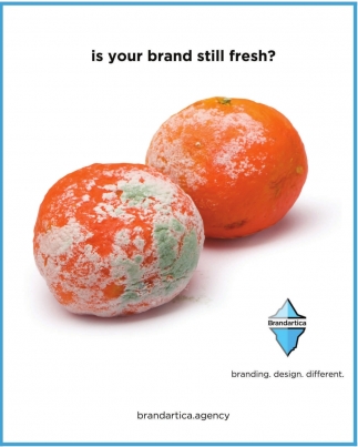 Is Your Brand Still Fresh?