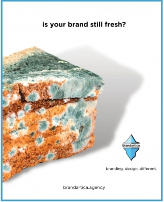 Is Your Brand Still Fresh?