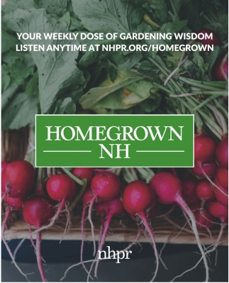 NHPR - New Hampshire Public Radio