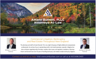 Amann Burnett, PLLC