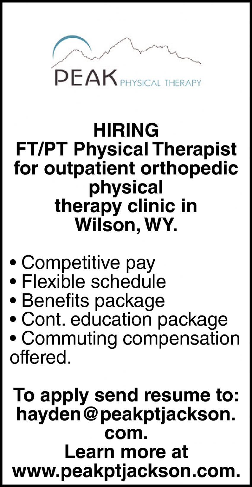 Physical Therapist