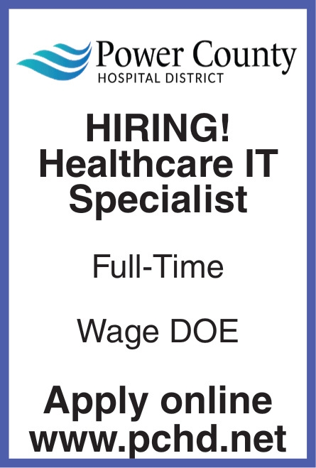 Healthcare IT Specialist