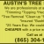 We are Professionals at Any Tree Work!