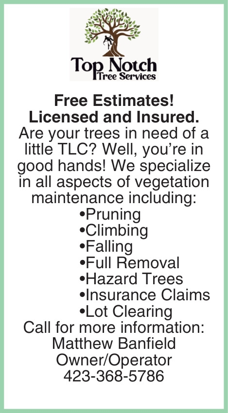 Top Notch Tree Services