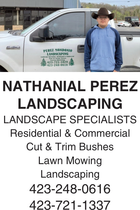 Nathanial Perez Landscaping