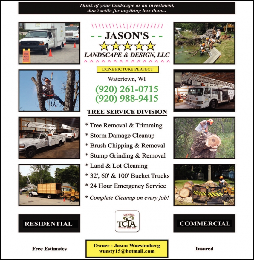 Tree Service Division Jason S Five Star Landscape Design L L C