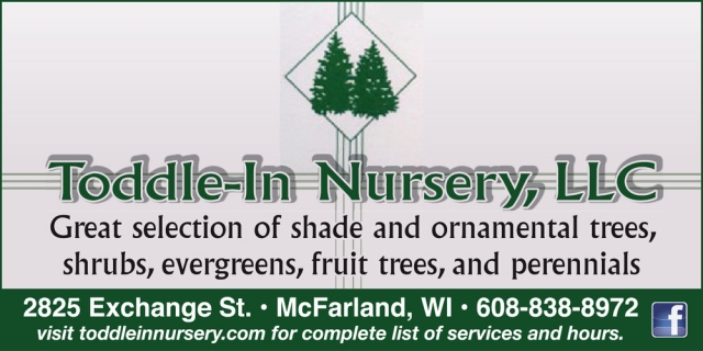 Great Selection of Shade and Ornamental Trees, Toddle-In Nursery, LLC, Mcfarland, WI