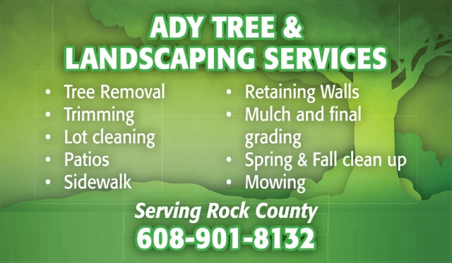 Tree Removal, Ady Tree & Landscaping Services, WI