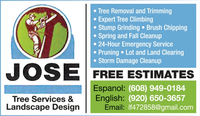 Tree Removal and Trimming, Jose Tree Services & Landscaping Design