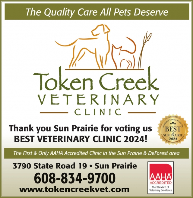 Veterinary Clinic, Token Creek Veterinary Clinic, Sun Prairie, WI