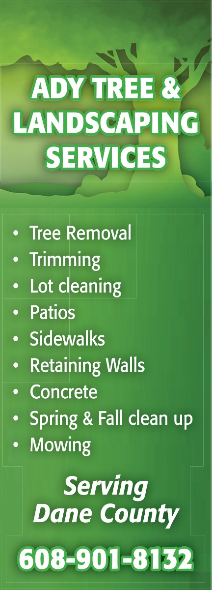 Tree Removal, Ady Tree & Landscaping Services, WI