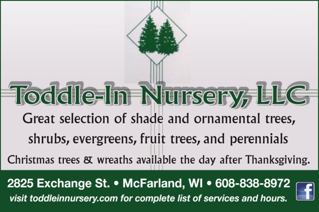 Great Selection of Shade and Ornamental Trees, Toddle-In Nursery, LLC, Mcfarland, WI