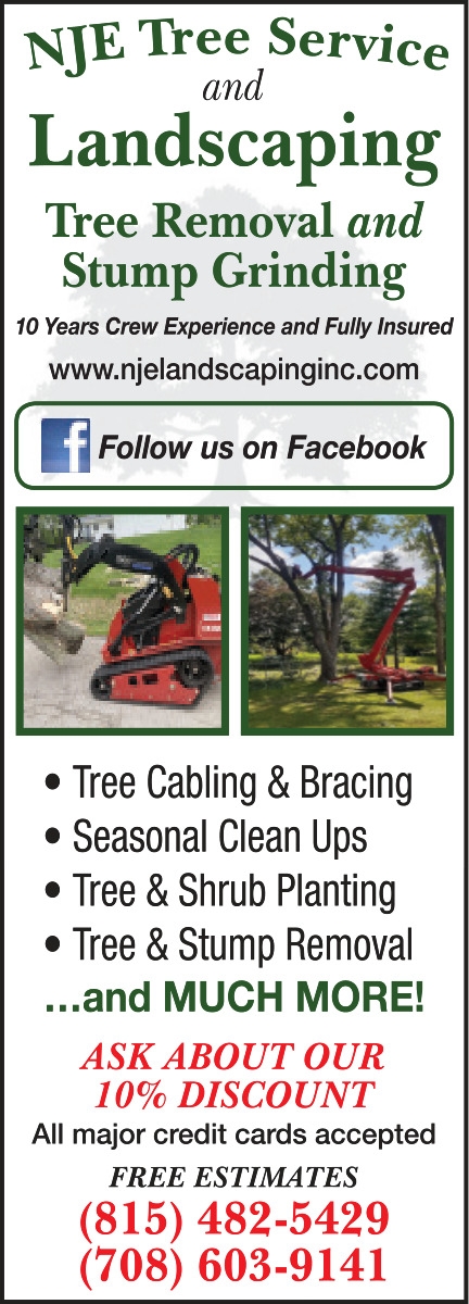 Landscaping Tree Removal And Stump Grinding, NJE Tree Service, Harvard, IL