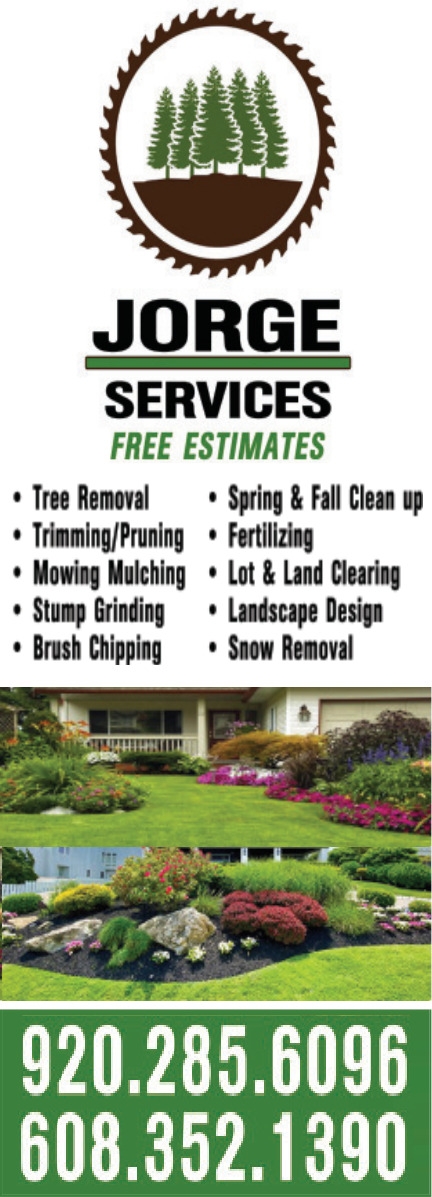 Tree Removal, Jorge Lawn Service