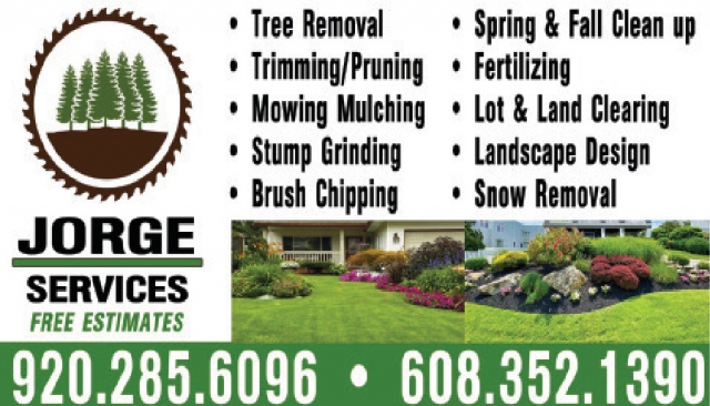 Tree Removal, Jorge Lawn Service