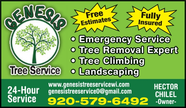 Tree Removal Expert, Genesis Tree Service, Johnson Creek, WI