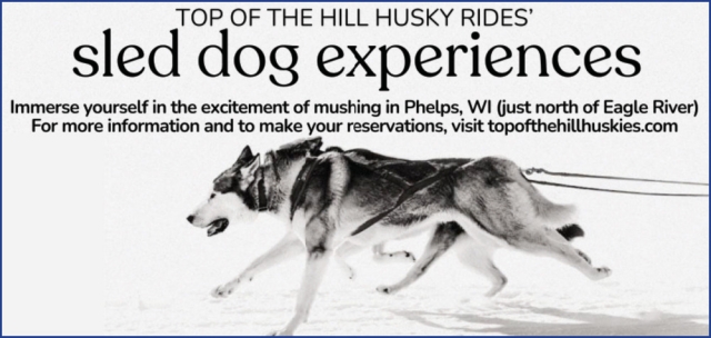 Sled Dog Experiences, Top of The Hill Husky Rides