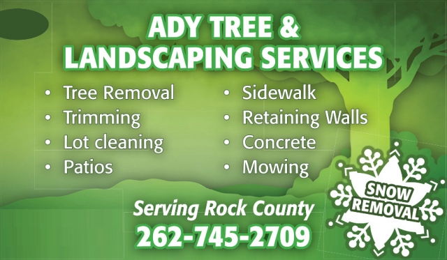 Tree Removal, Ady Tree & Landscaping Services, WI