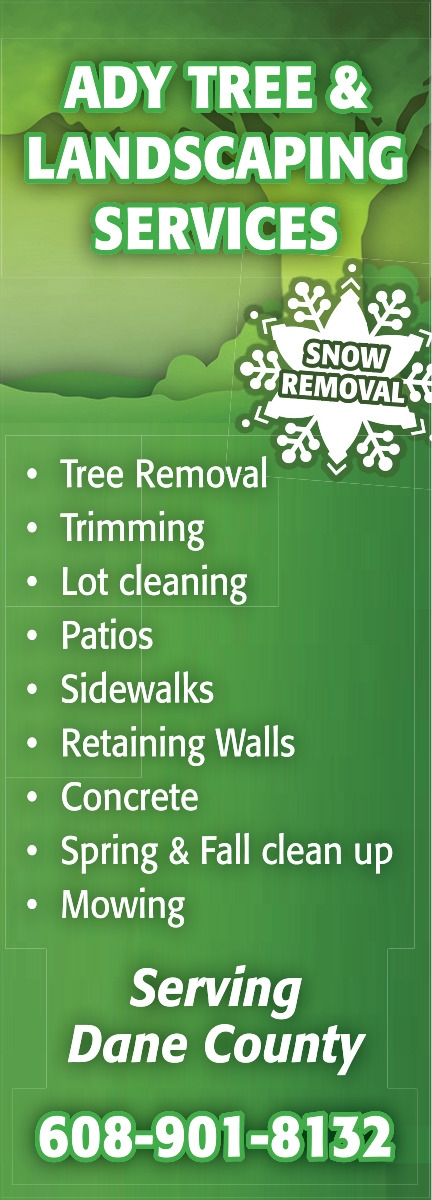 Tree Removal, Ady Tree & Landscaping Services, WI