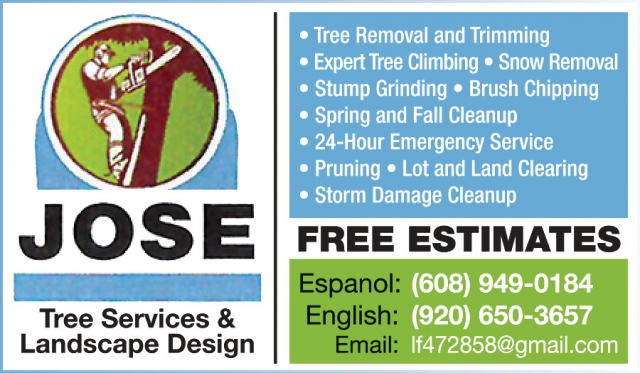 Tree Removal and Trimming, Jose Tree Services & Landscaping Design