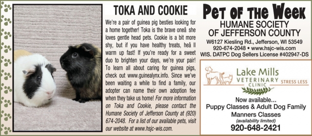 Pet of the Week, Lake Mills Veterinary Clinic, Lake Mills, WI