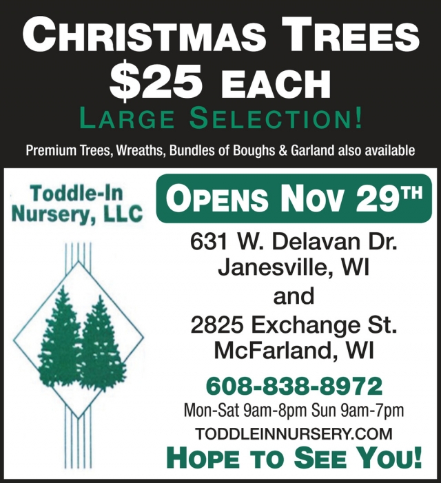 Christmas Trees $25 Each, Toddle-In Nursery, LLC, Mcfarland, WI