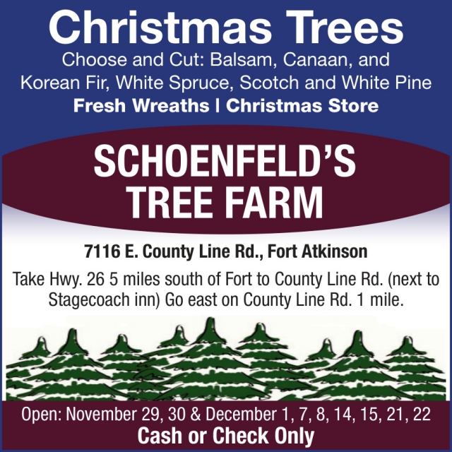 Christmas Trees, Schoenfeld's Tree Farm, Fort Atkinson, WI