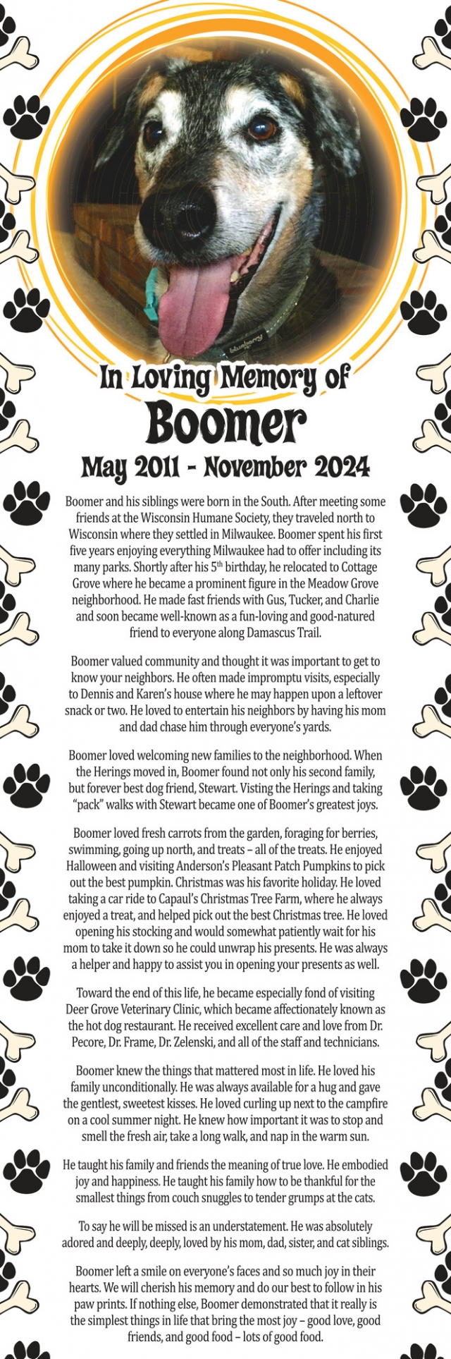 In Loving Memory of Boomer, Pet Obituaries