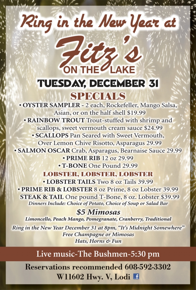 Ring in The New Year, Fitz's On The Lake, Lodi, WI