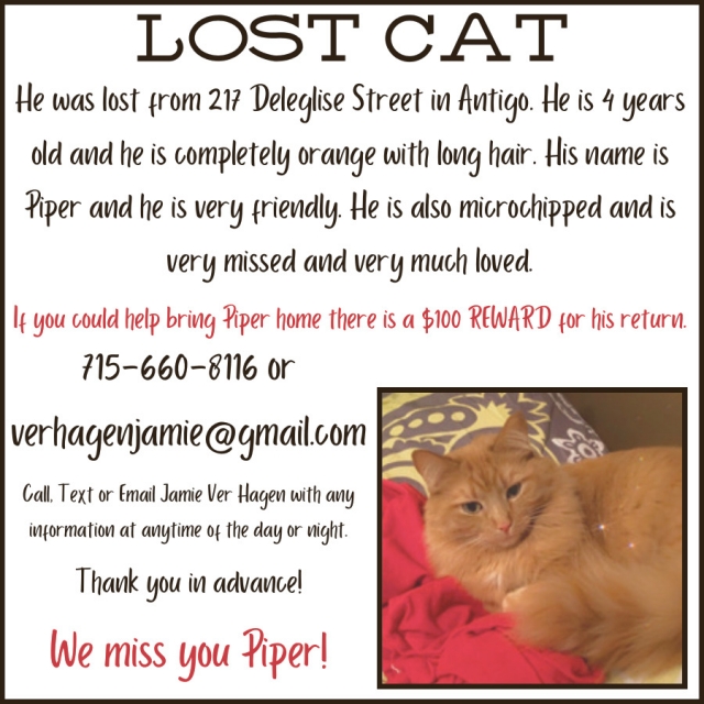 Lost Cat, 715-660-8116