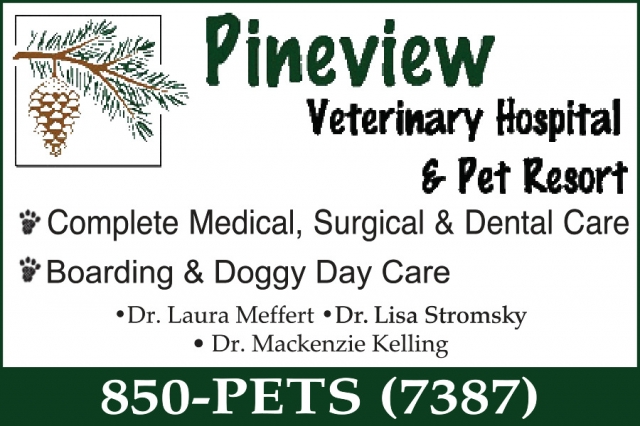 Complete Medical, Surgical & Dental Care, Pineview Veterinary Hospital & Pet Resort, Waunakee, WI