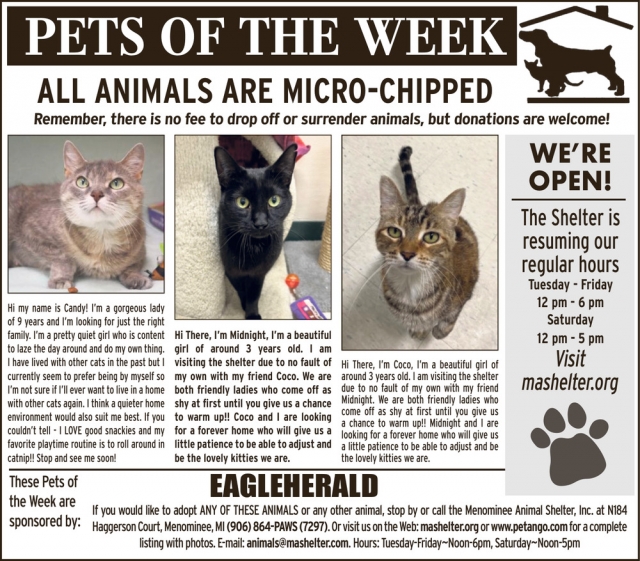 Pets of the Week, Menominee Animal Shelter, Menominee, MI