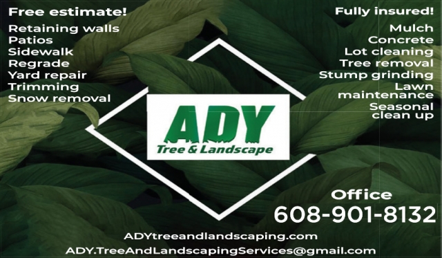 Snow Removal, Ady Tree & Landscaping Services, WI