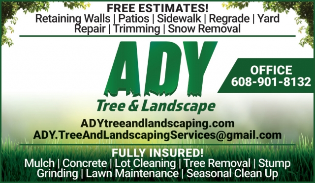Retaining Walls, Ady Tree & Landscaping Services, WI