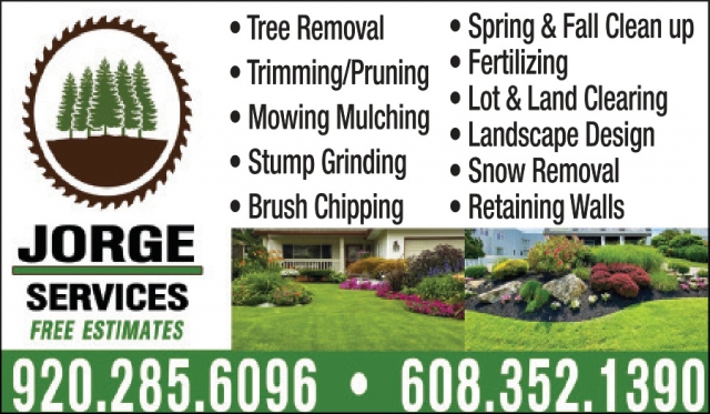 Tree Removal, Jorge Lawn Service