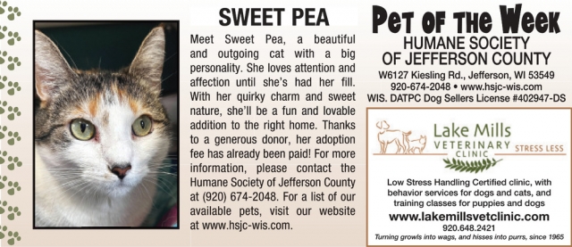 Pet of The Week, Lake Mills Veterinary Clinic, Lake Mills, WI