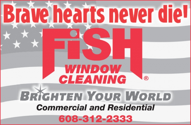 Window Cleaning, Fish Window Cleaning, Beloit, WI