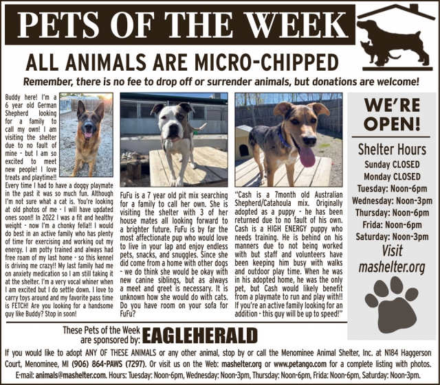 Pets of the Week, Menominee Animal Shelter, Menominee, MI