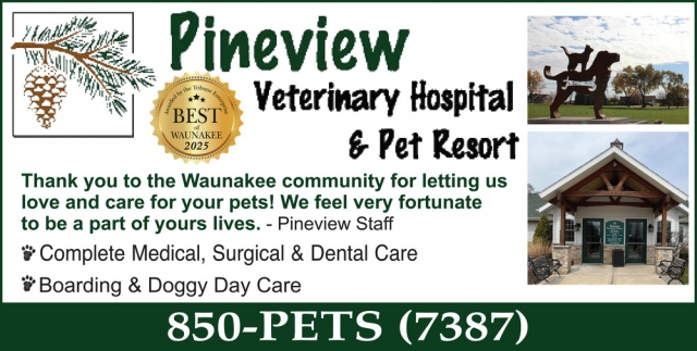 Complete Medical, Surgical & Dental Care, Pineview Veterinary Hospital & Pet Resort, Waunakee, WI