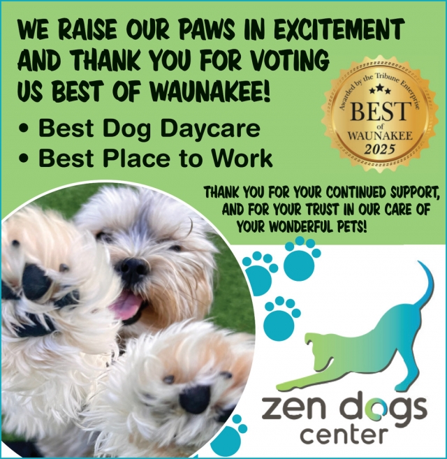 Best Dog Daycare, Zen Dogs Center
