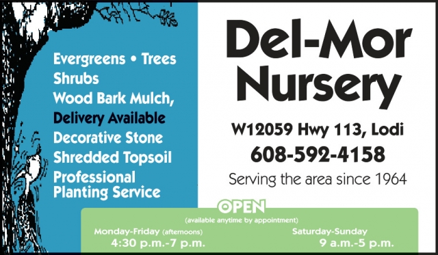 Evergreens - Trees, Del-Mor Nursery, Lodi, WI