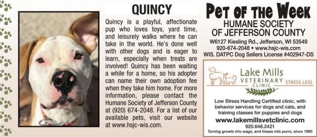 Pet of The Week, Lake Mills Veterinary Clinic, Lake Mills, WI