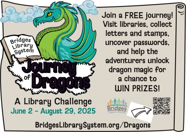 A Library Challenge, Bridges Library System, Waukesha, WI